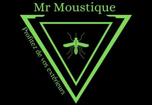 Monsieur Moustique